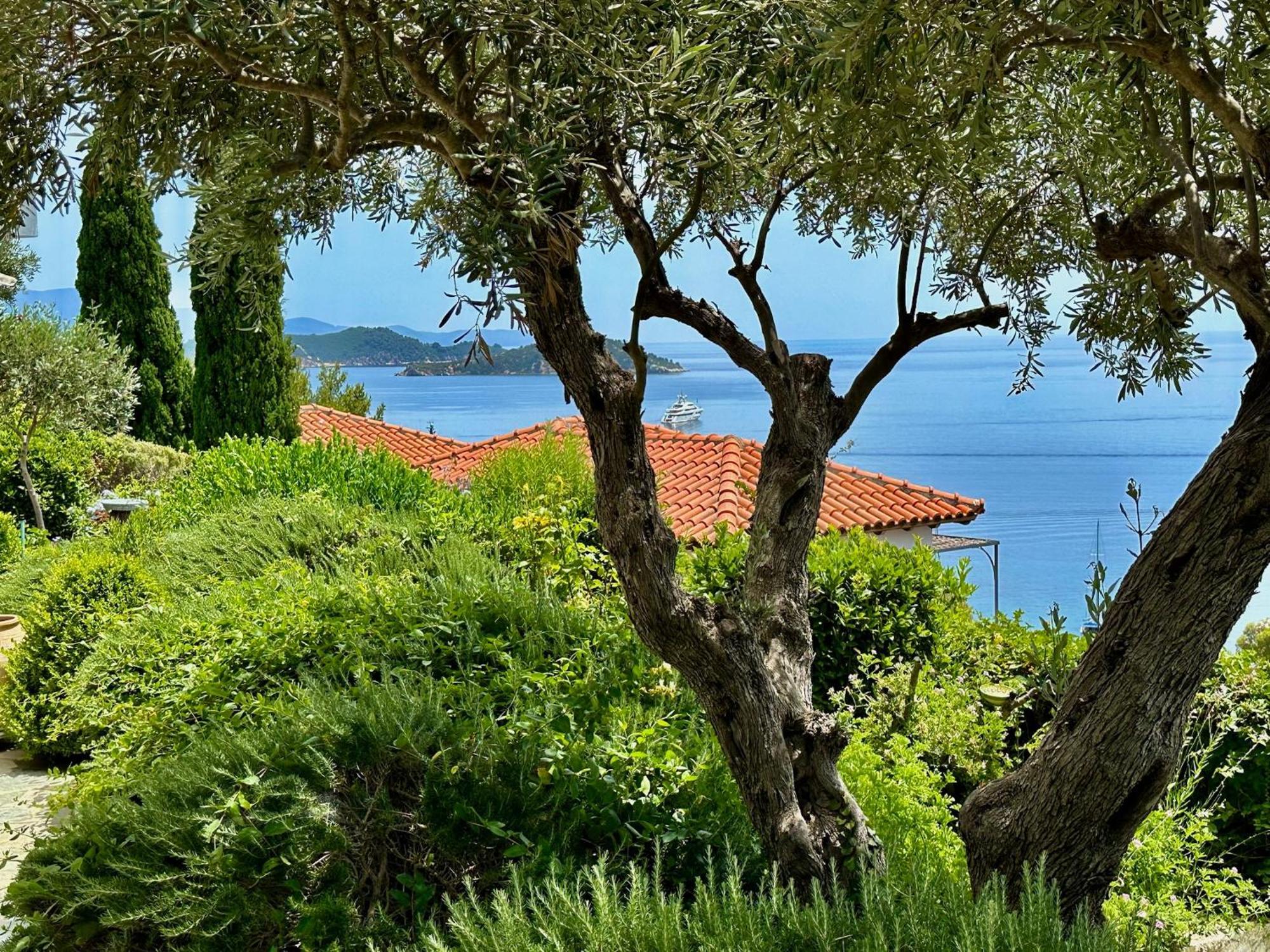 Villa Athena Skiathos Megali Ammos  Exterior foto