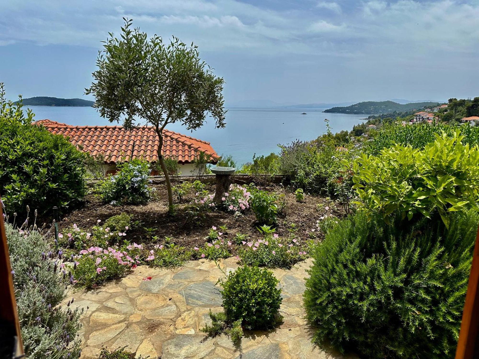 Villa Athena Skiathos Megali Ammos  Exterior foto