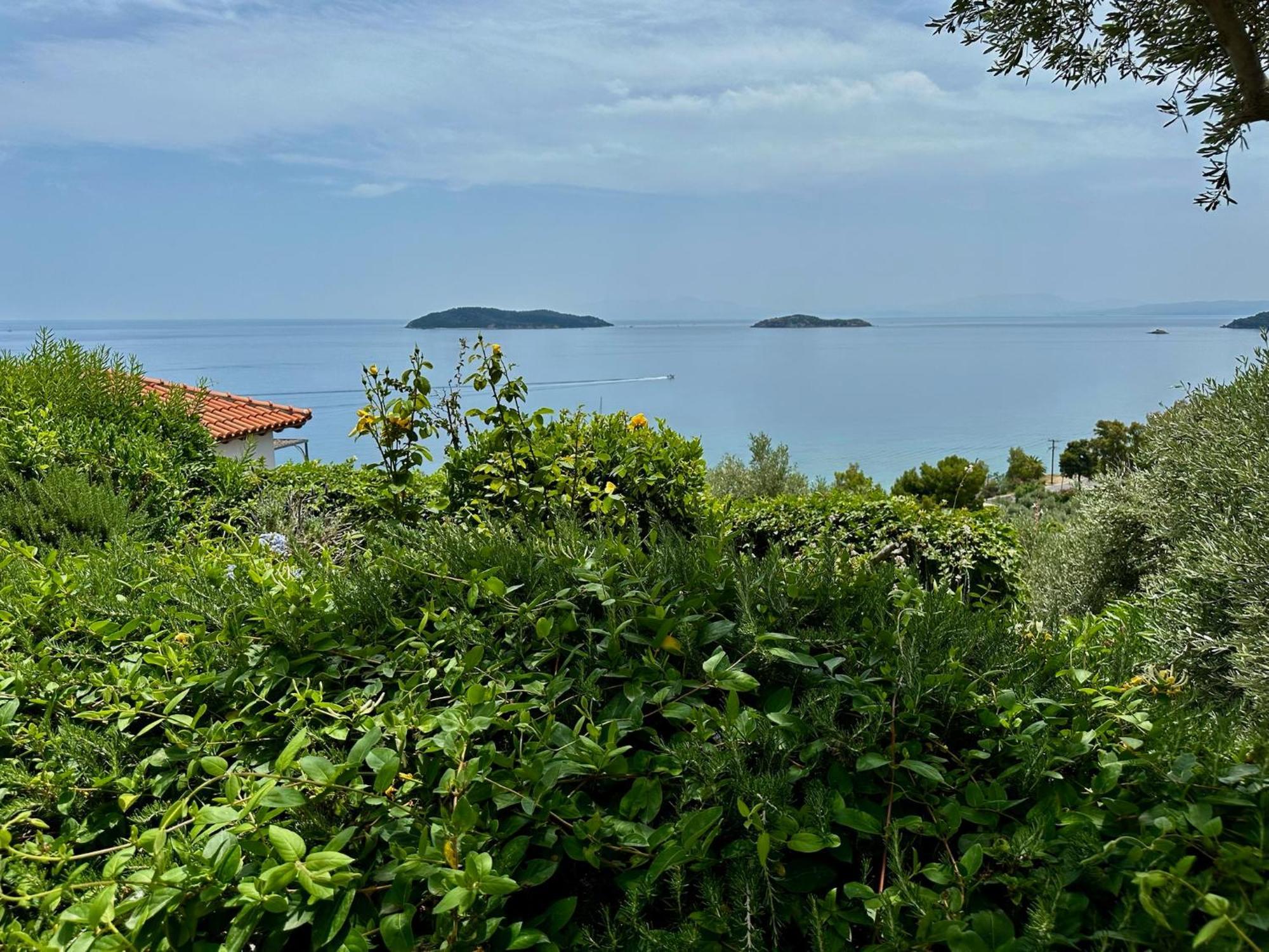 Villa Athena Skiathos Megali Ammos  Exterior foto