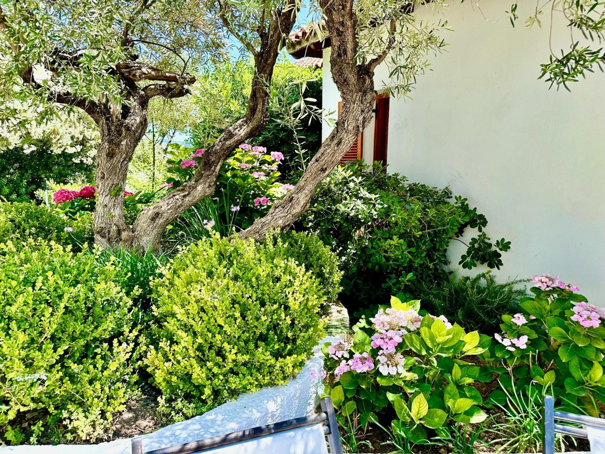 Villa Athena Skiathos Megali Ammos  Exterior foto